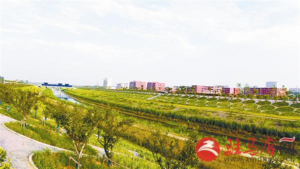 wub1709305.jpg