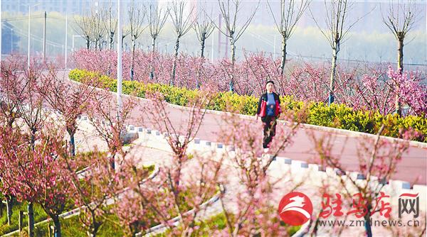 guols180413.jpg