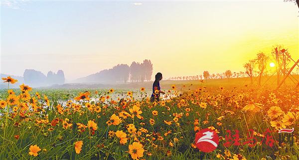 guols18049.jpg