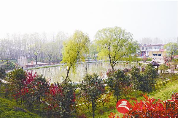 guols18045.jpg