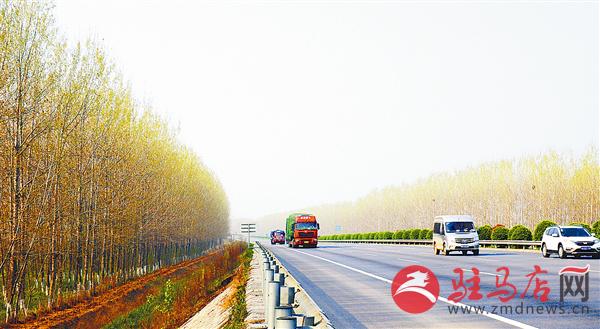 guols18046.jpg