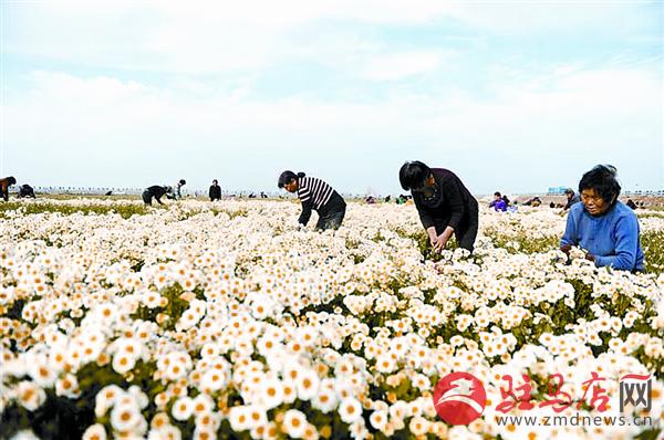 zhaol180948.jpg