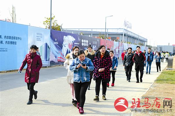 guols1901293.jpg