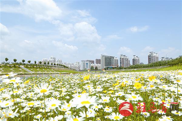 guols1902344.jpg