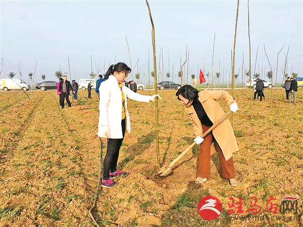 yangxh1902182.jpg