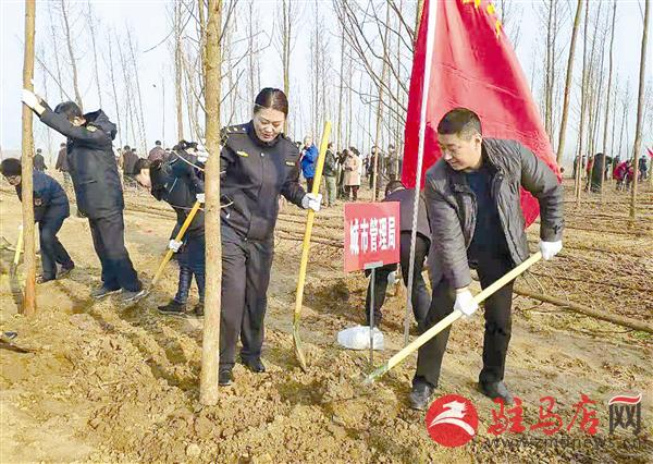 guols1903149.jpg