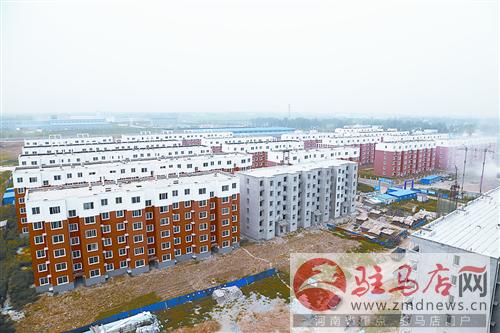luf1408243.jpg
