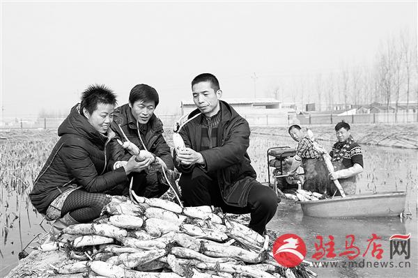 zhangz150255.jpg