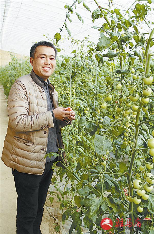 zhangz1504193.jpg