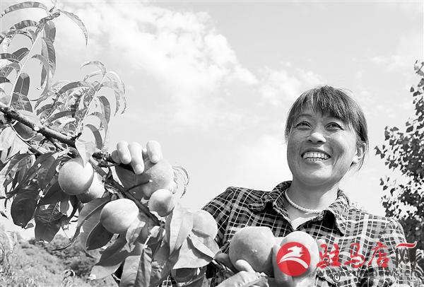 zhangz150687.jpg