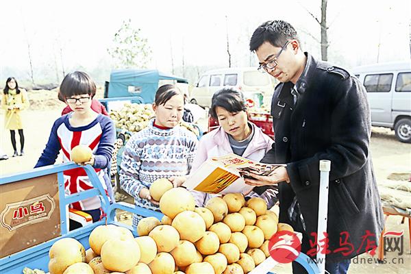 guols1604326.jpg