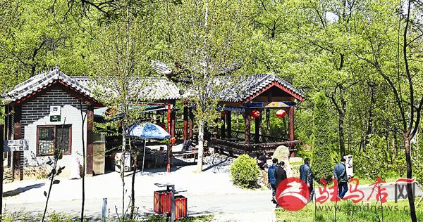 guols1604323.jpg