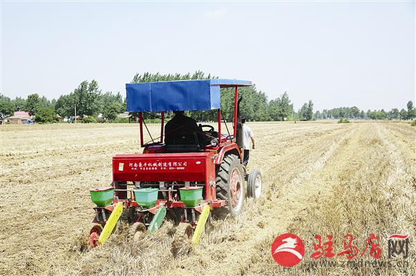 guols160681.jpg