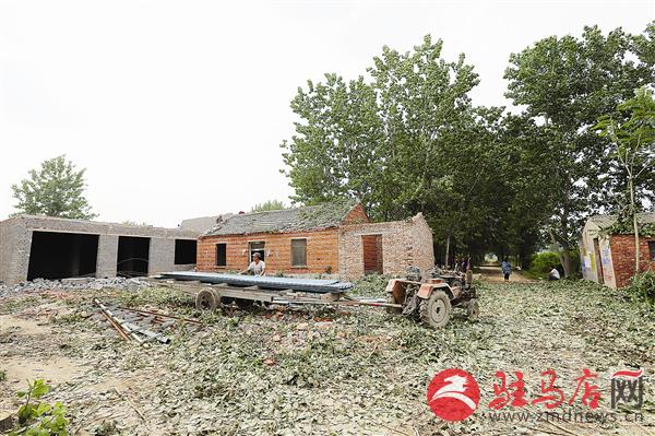 guols1606162.jpg