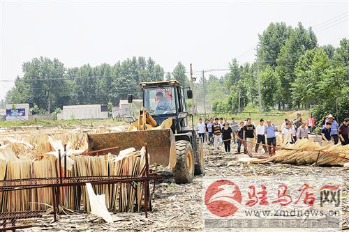 guols1606218.jpg