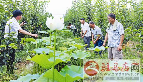 guols1607201.jpg