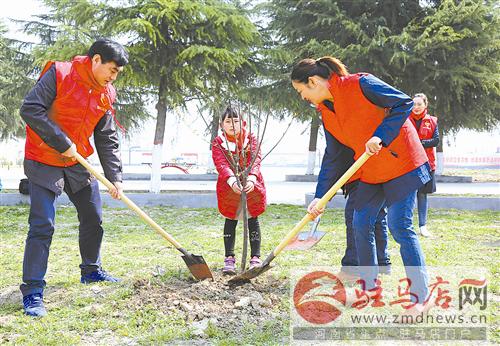 guols1703337.jpg