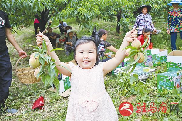 guols1706389.jpg