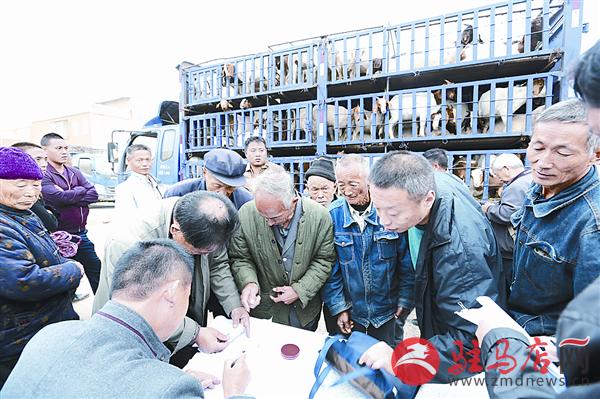 wangk171062.jpg