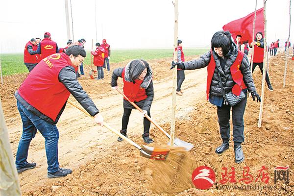wangk18037.jpg