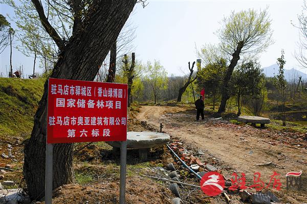 guols180436.jpg