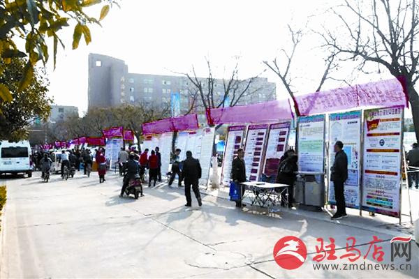 yangf190232.jpg