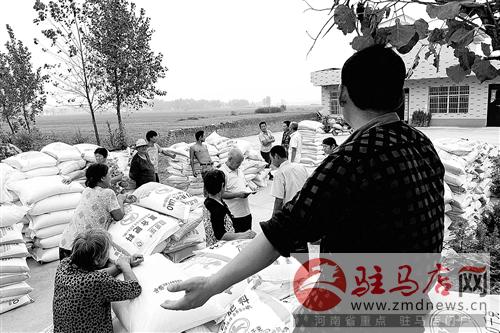 guols1409443.jpg