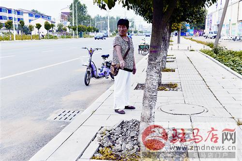 qif1408292.jpg