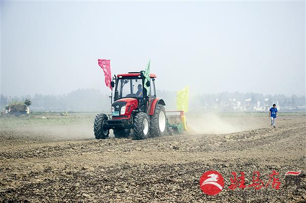 guols1509548.jpg
