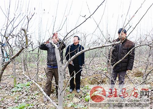 guols1601167.jpg
