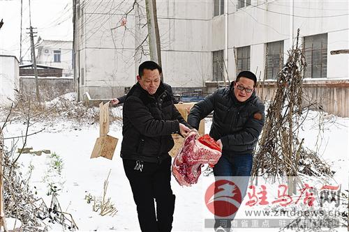 guols160240.jpg