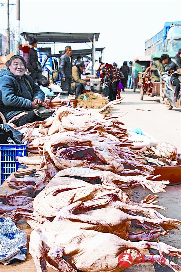 wangj160238.jpg