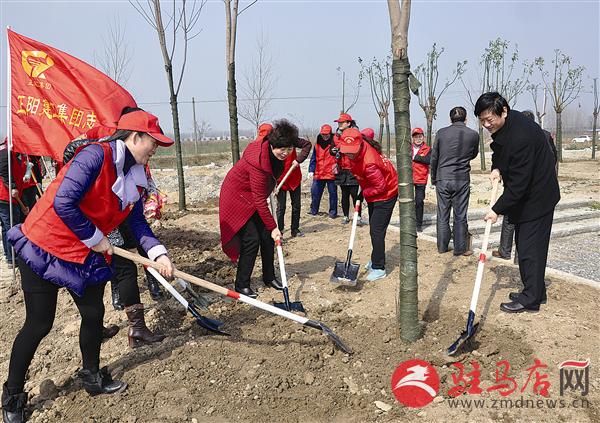 guols1603143.jpg