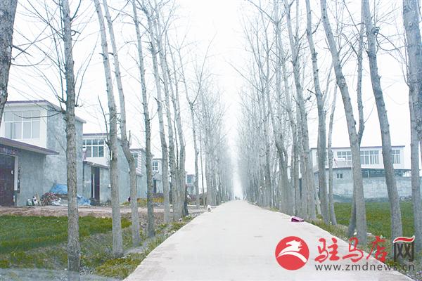 guojg1603179.jpg