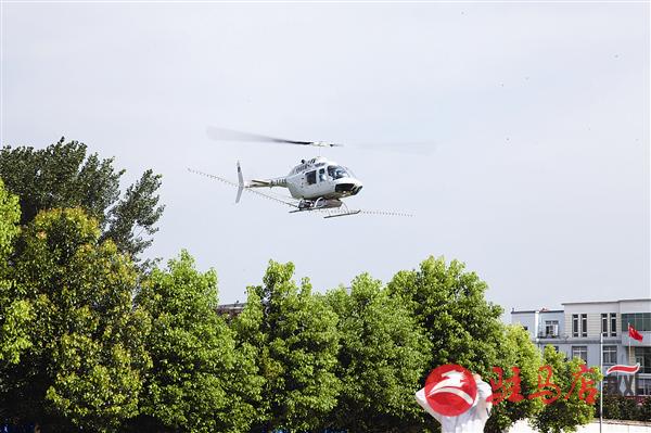 guols1607264.jpg