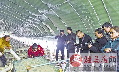 guols1611304.jpg
