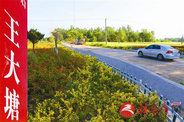 guols180589.jpg