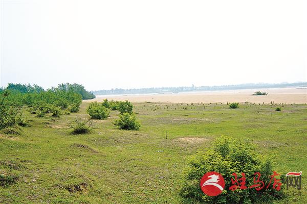 yangxh180843.jpg