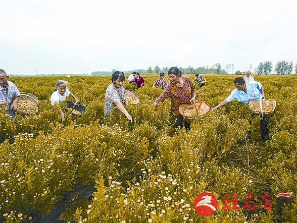yangxh1808180.jpg