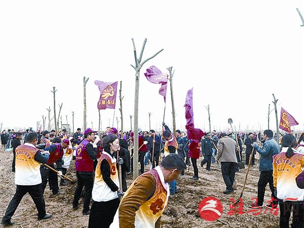 yangxh1811122.jpg