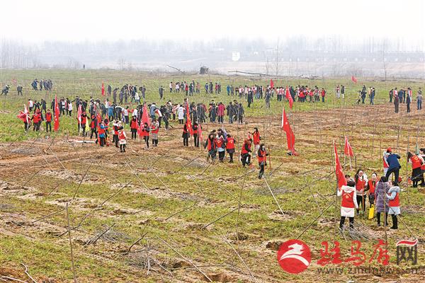 yangxh1902184.jpg