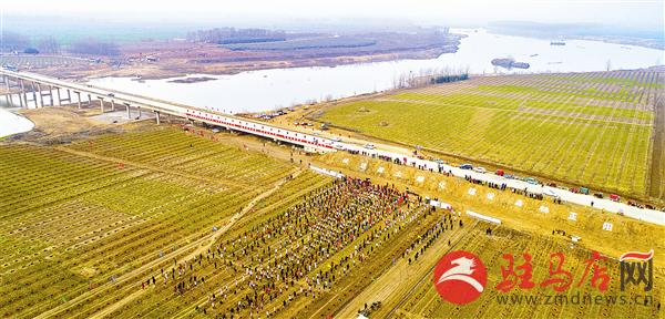 zhangdc19031.jpg