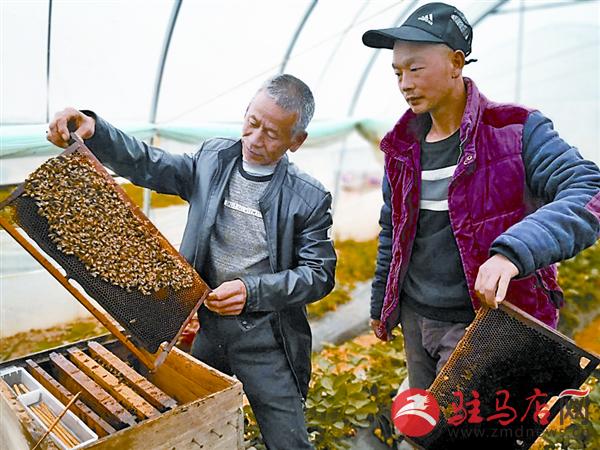 yangxh1904156.jpg